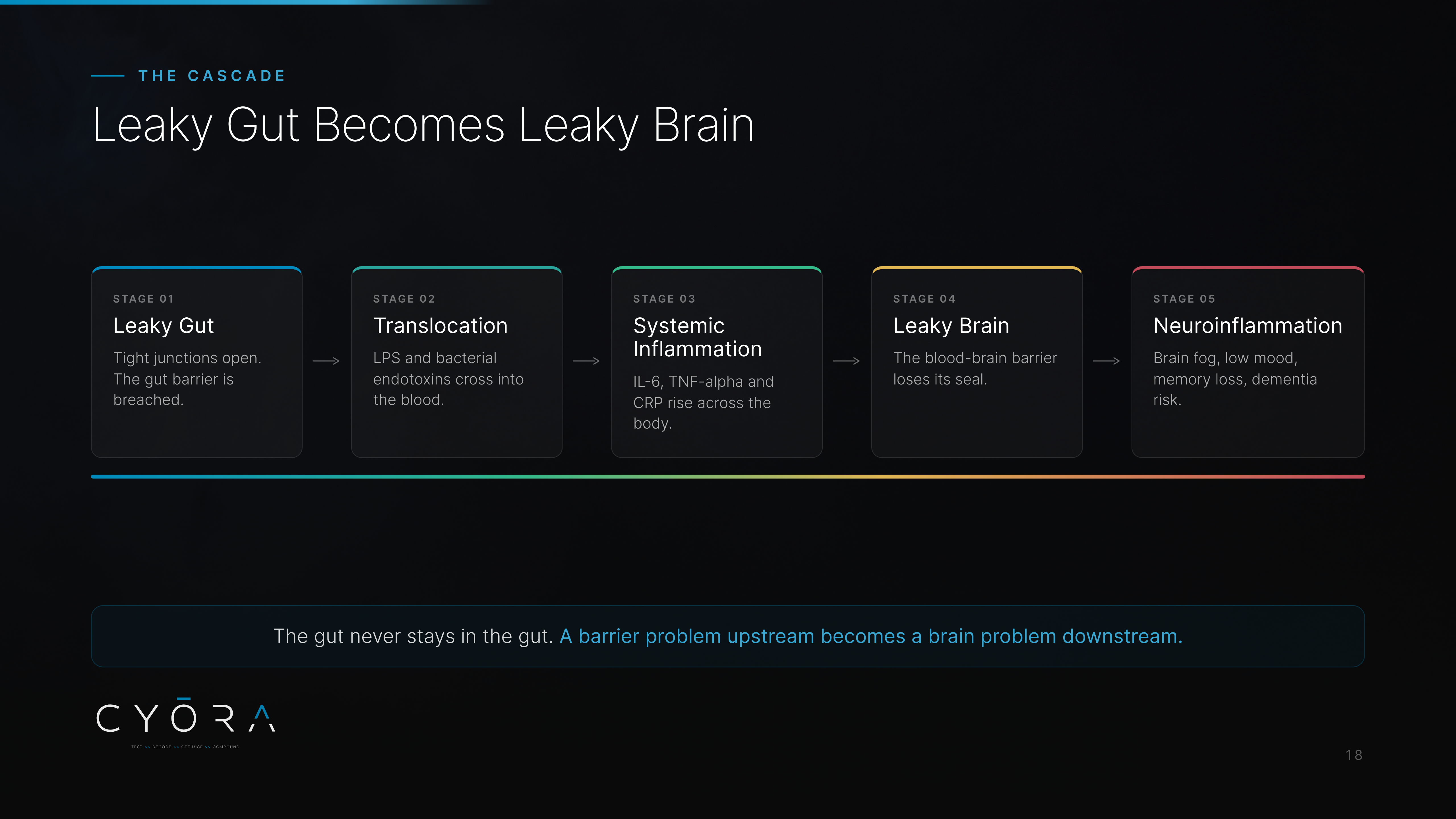 Leaky Gut Becomes Leaky Brain