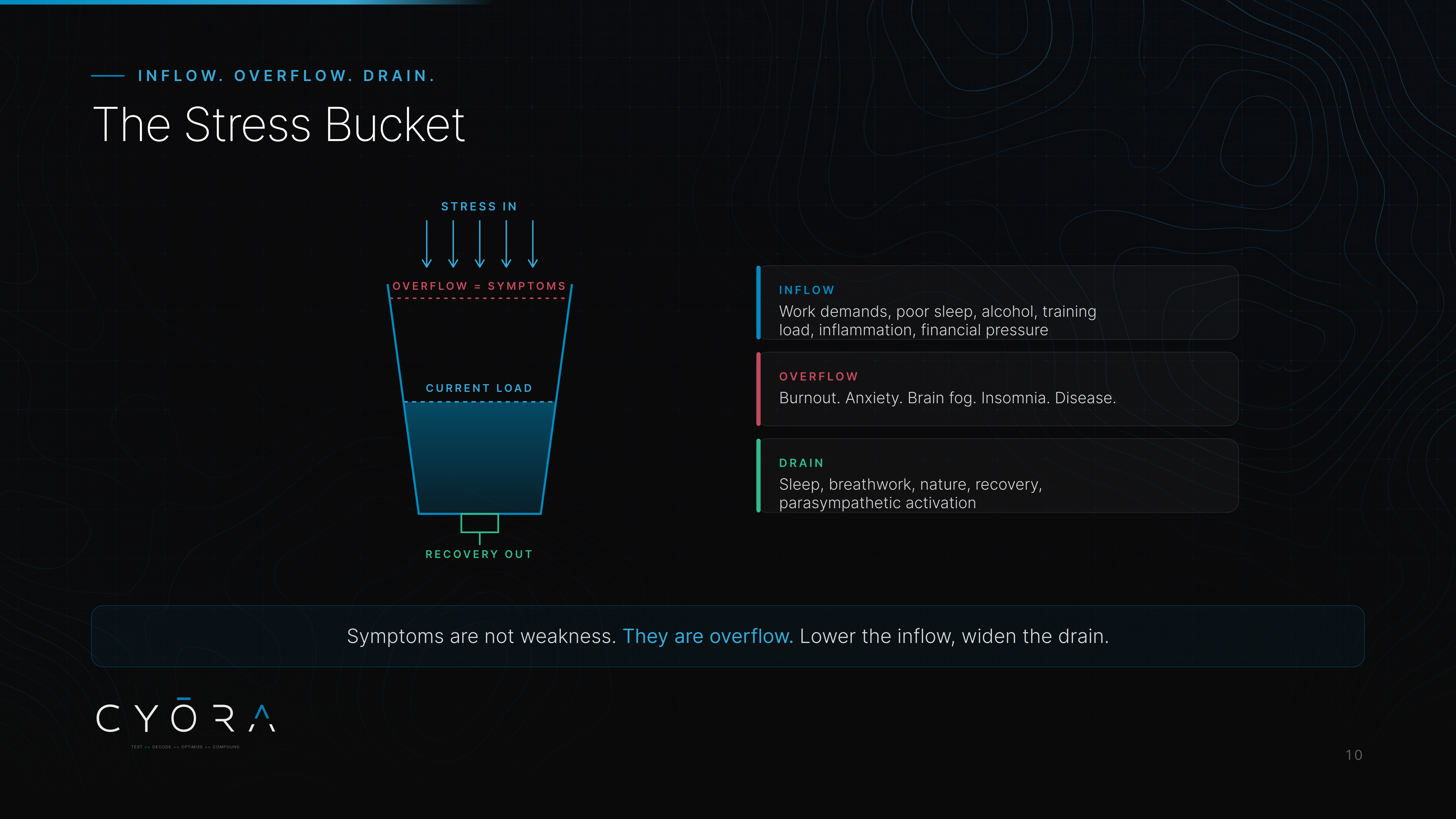 The Stress Bucket