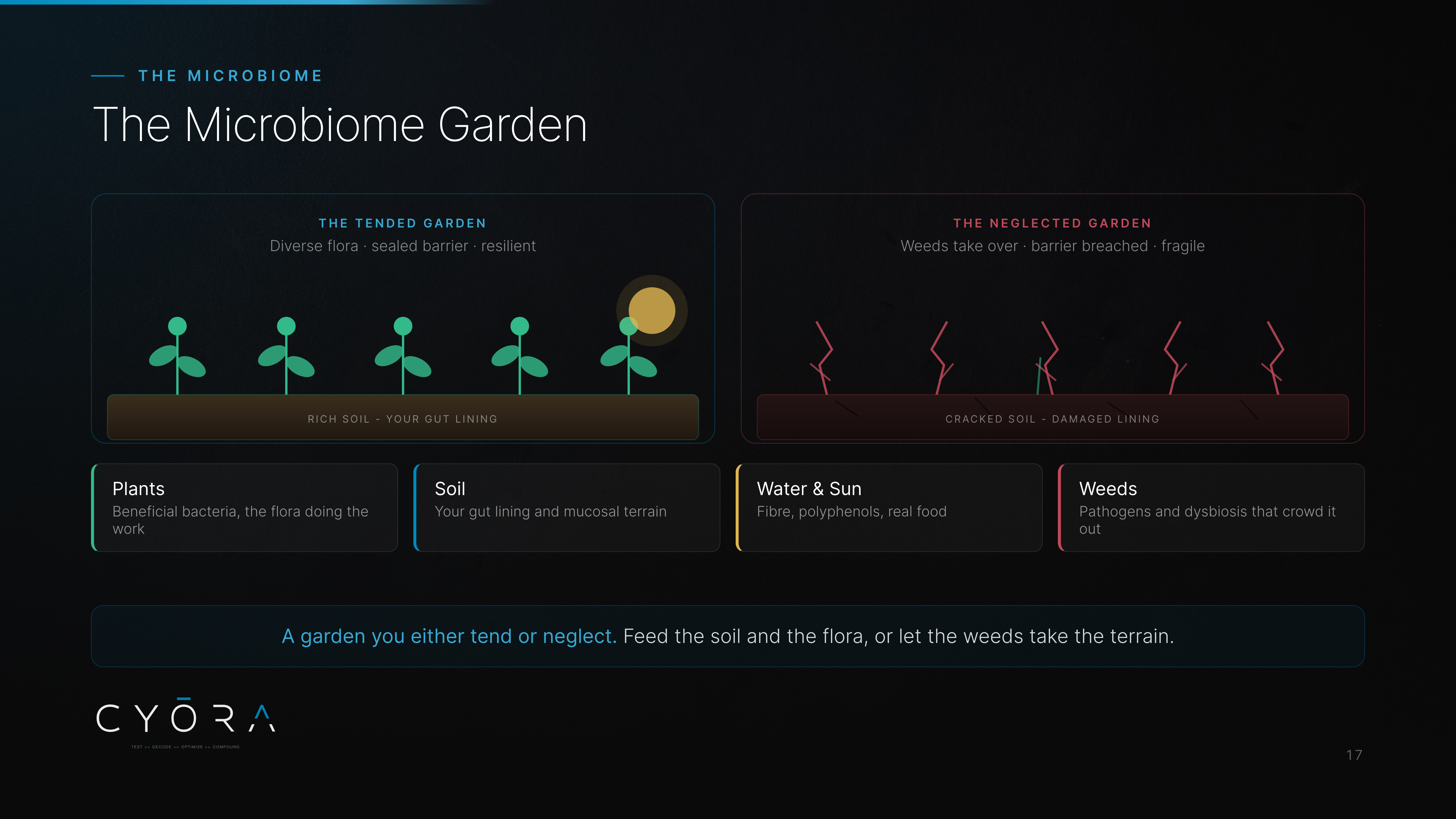 The Microbiome Garden