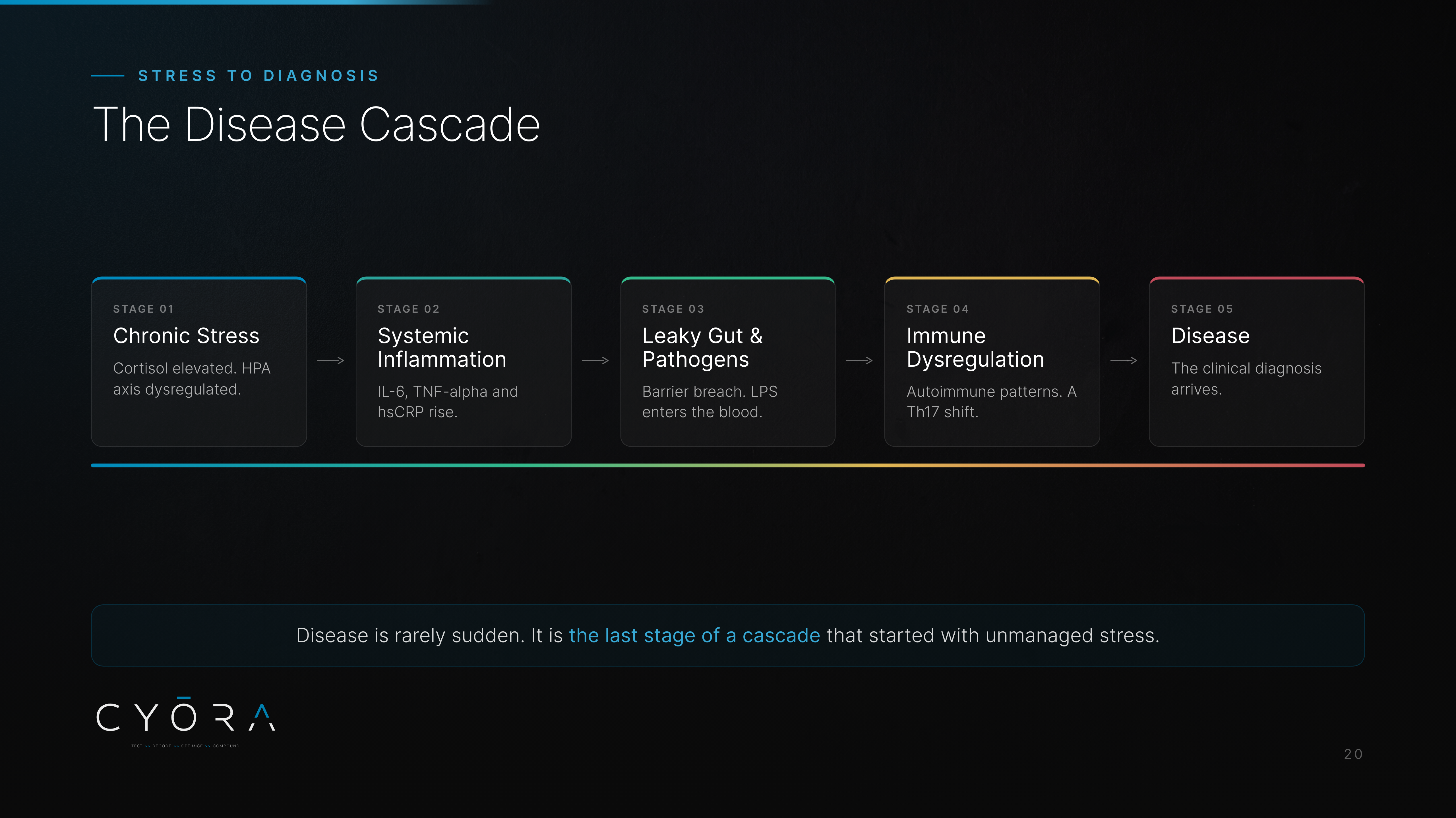 The Disease Cascade