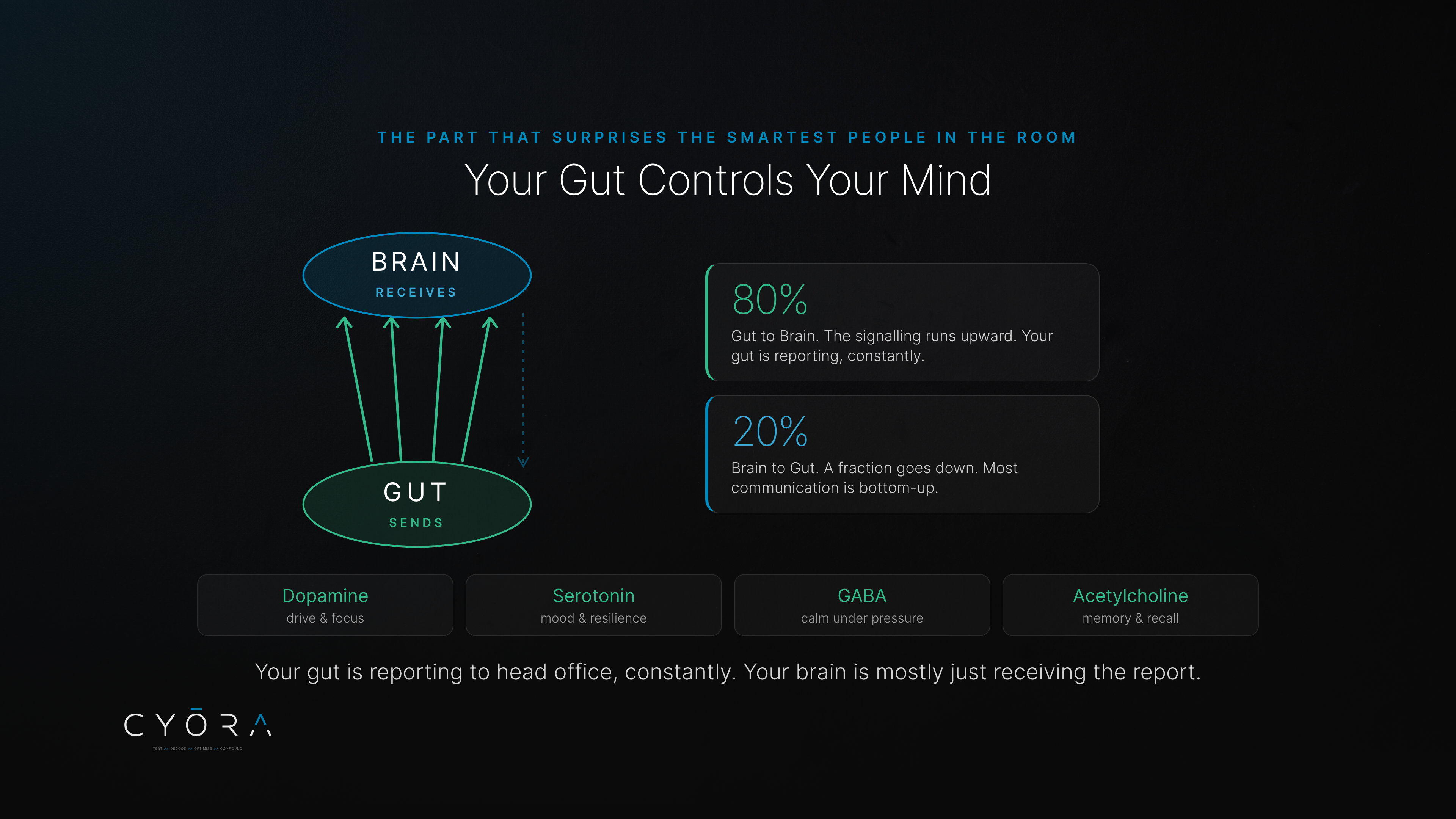 Your Gut Controls Your Mind