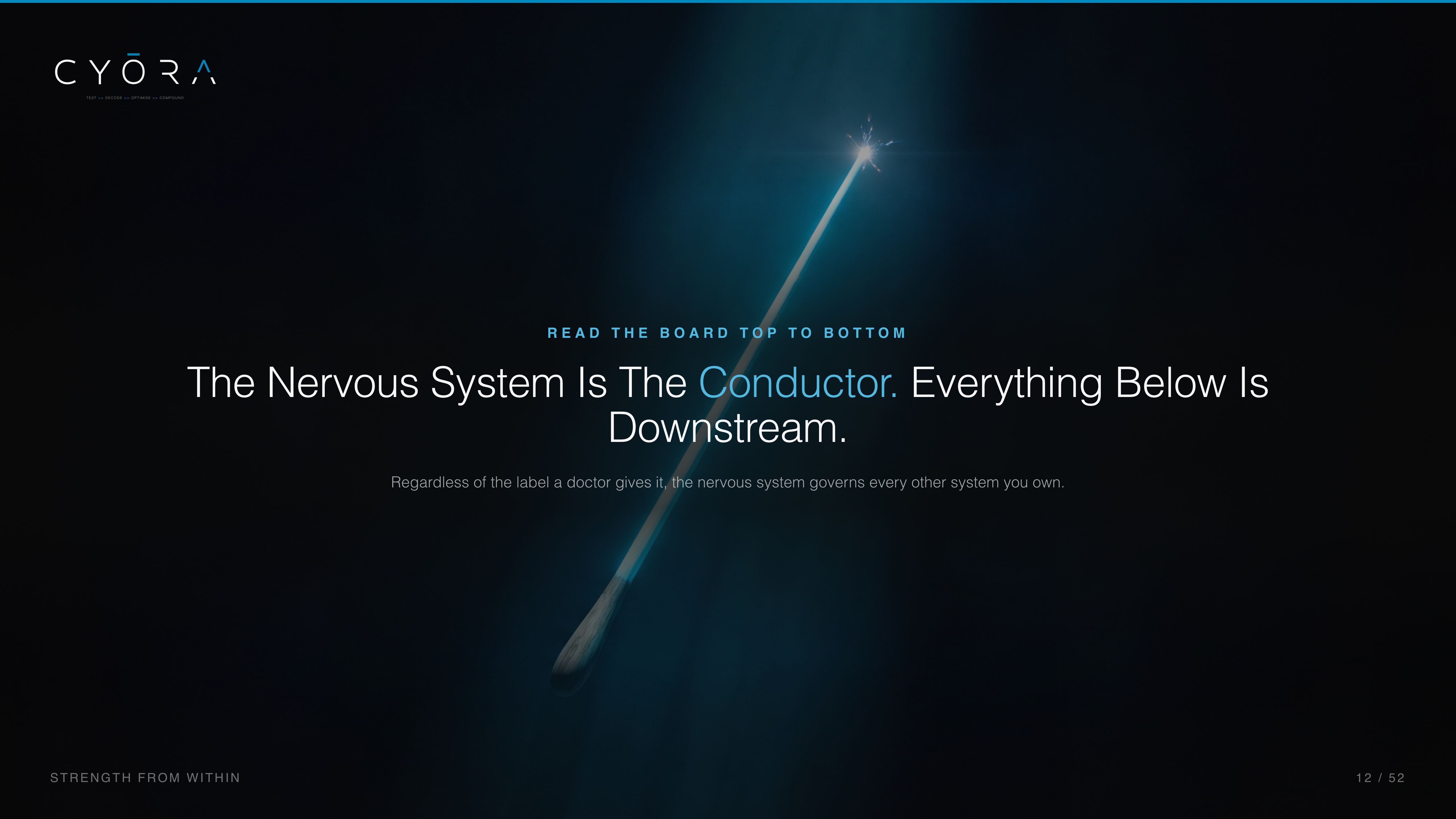 The Nervous System Is The Conductor. Everything Below Is Downstream.