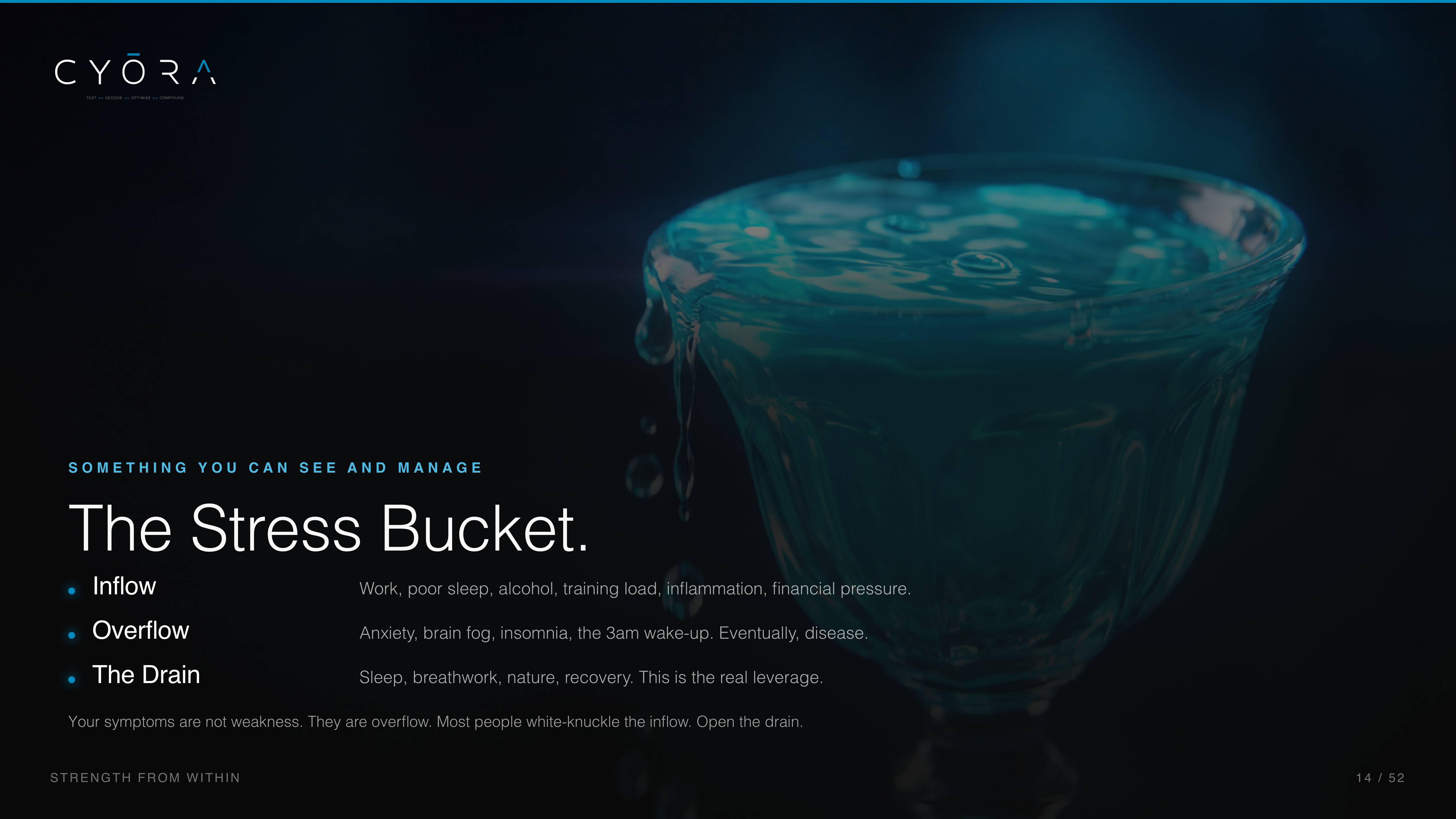 The Stress Bucket.