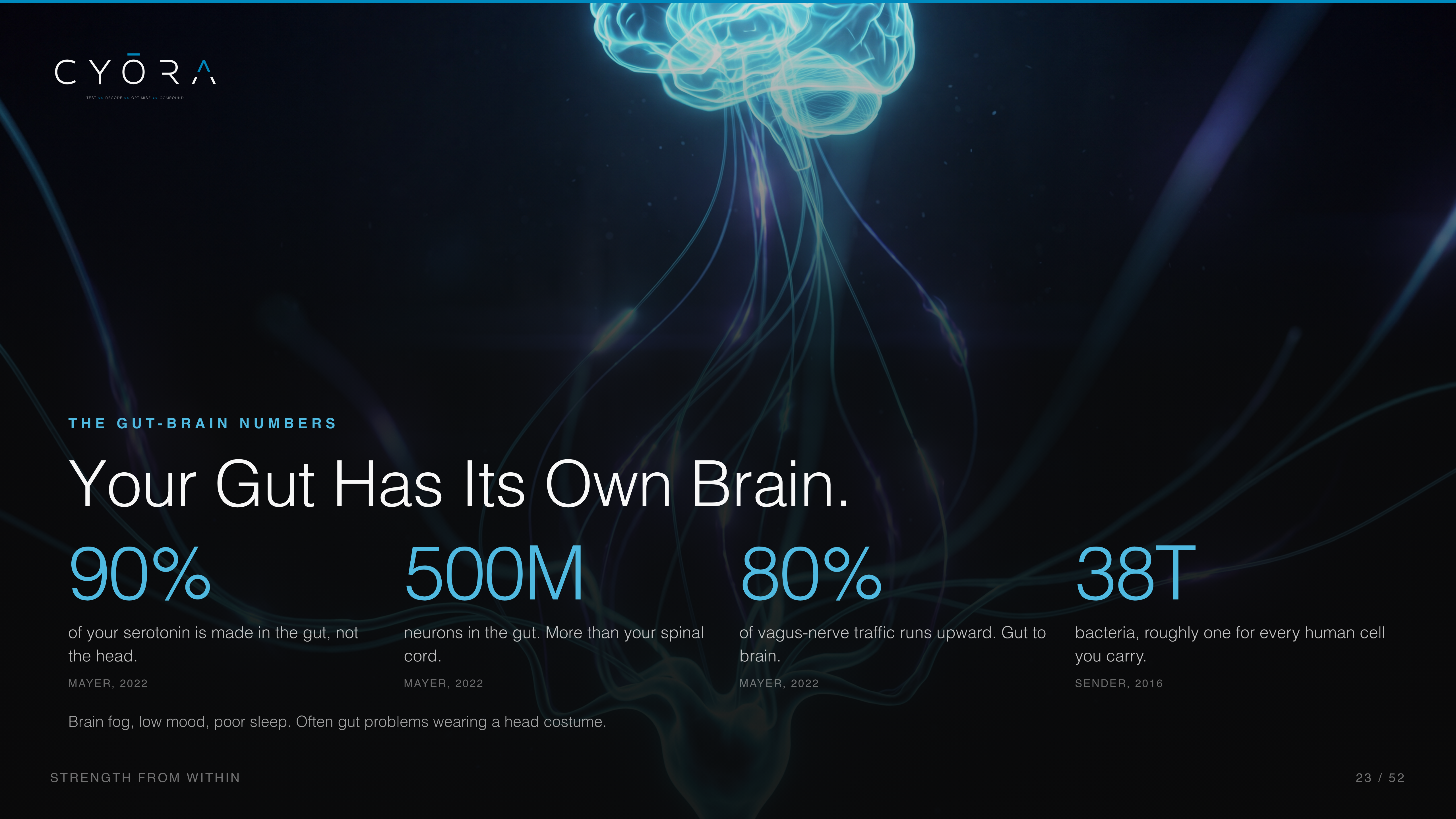 Your Gut Has Its Own Brain.