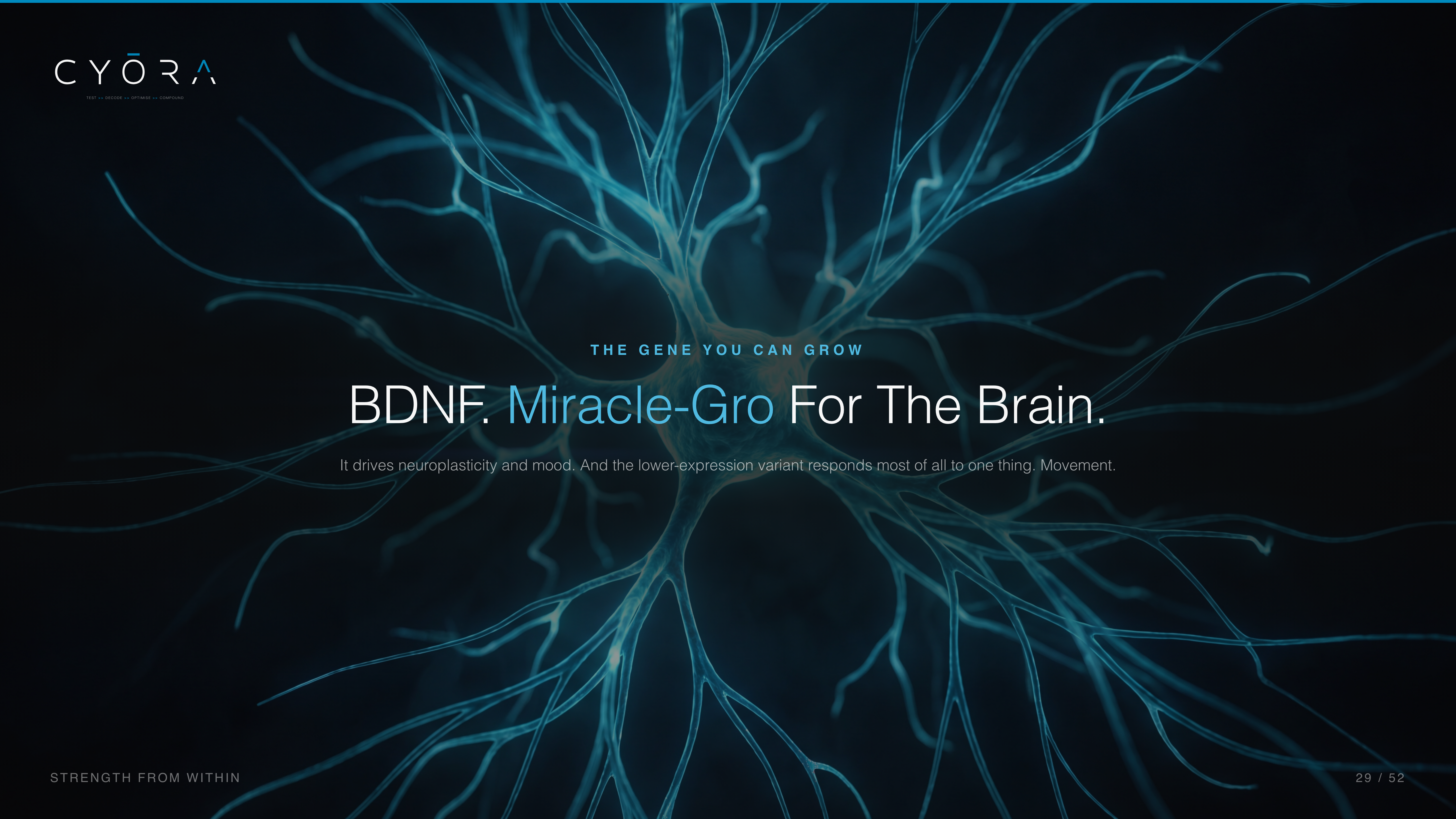 BDNF. Miracle-Gro For The Brain.