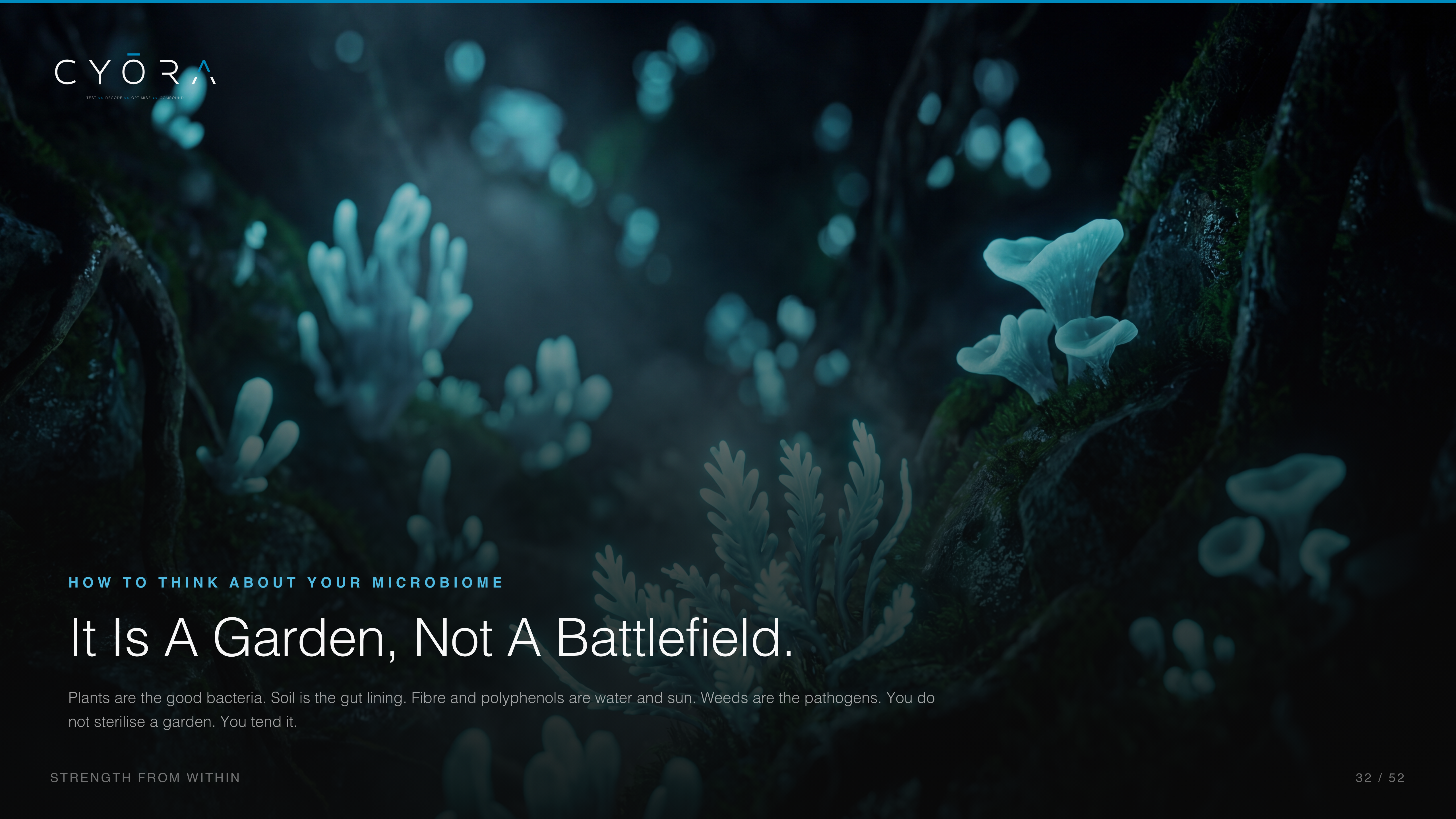 It Is A Garden, Not A Battlefield.