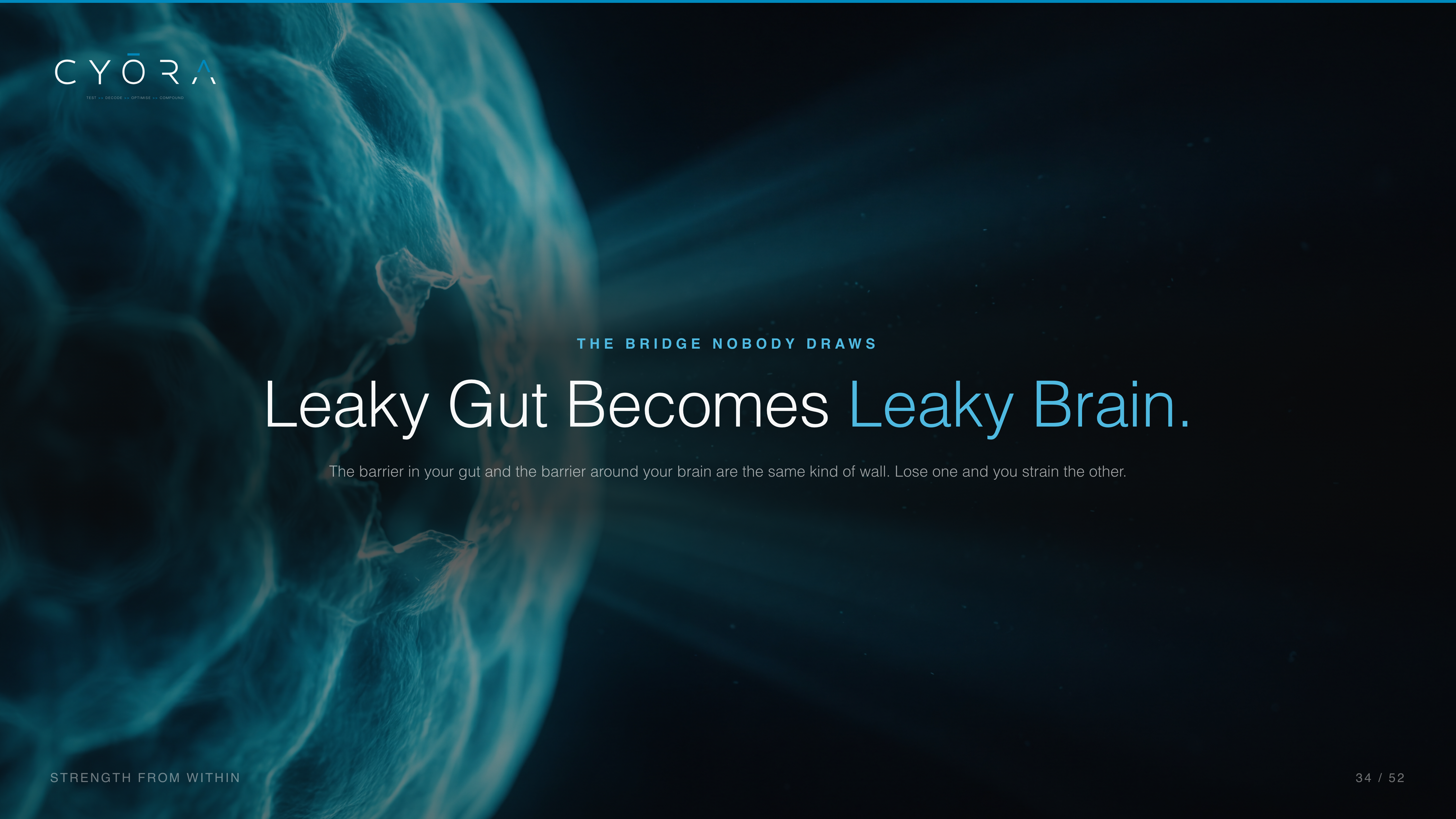 Leaky Gut Becomes Leaky Brain.