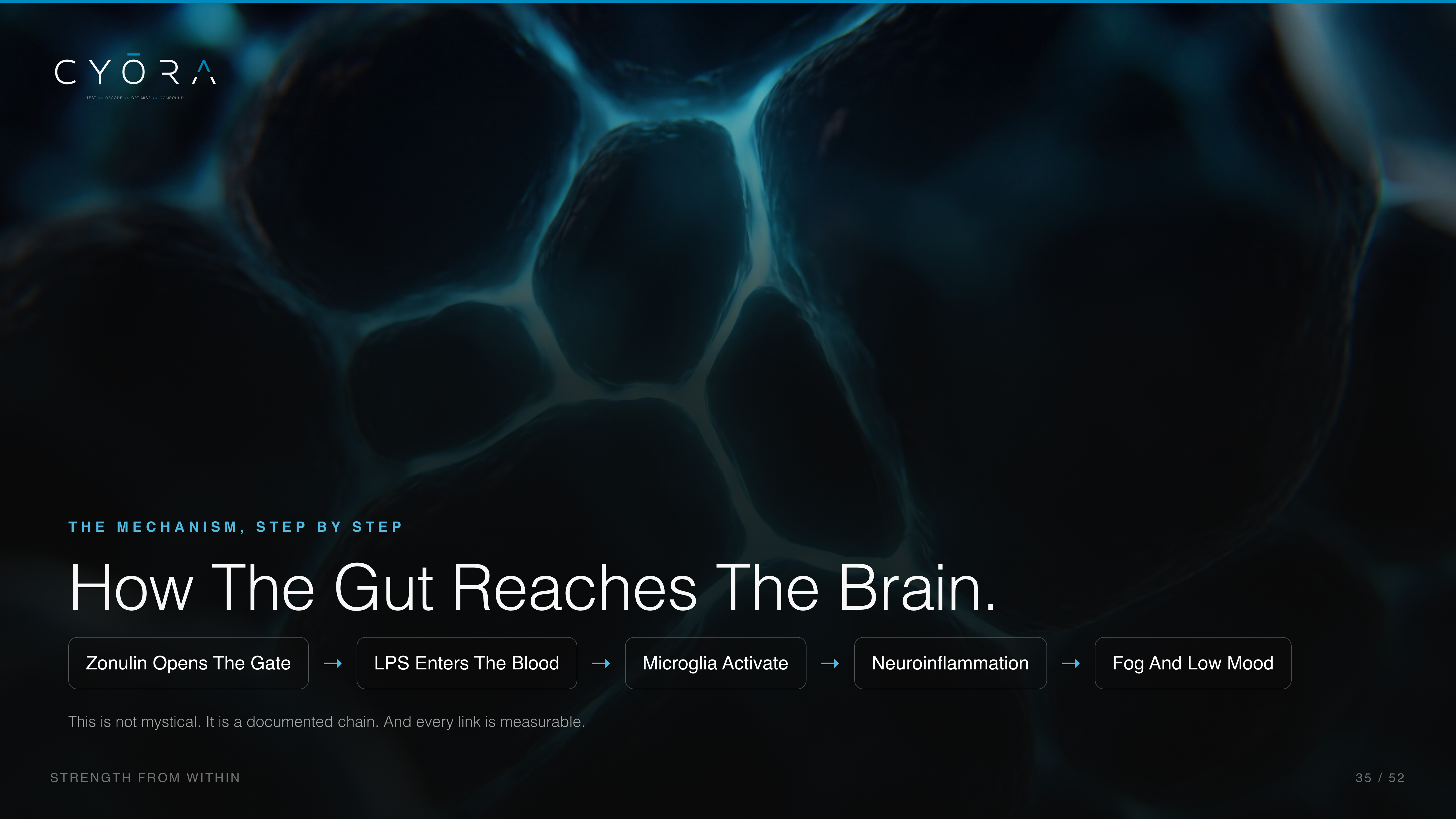 How The Gut Reaches The Brain.