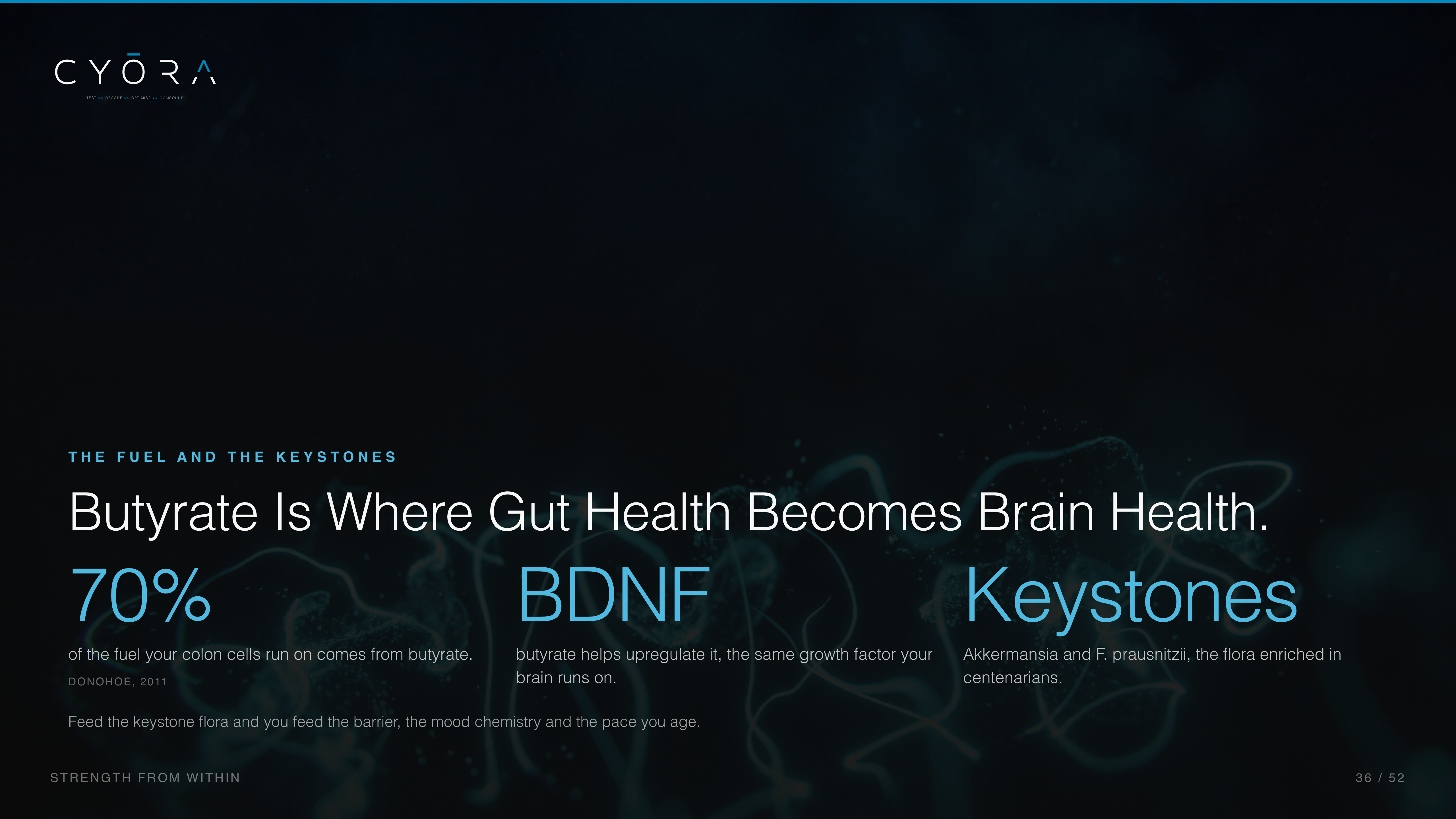 Butyrate Is Where Gut Health Becomes Brain Health.